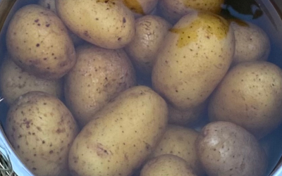 Kartoffeln aus der Kochkiste